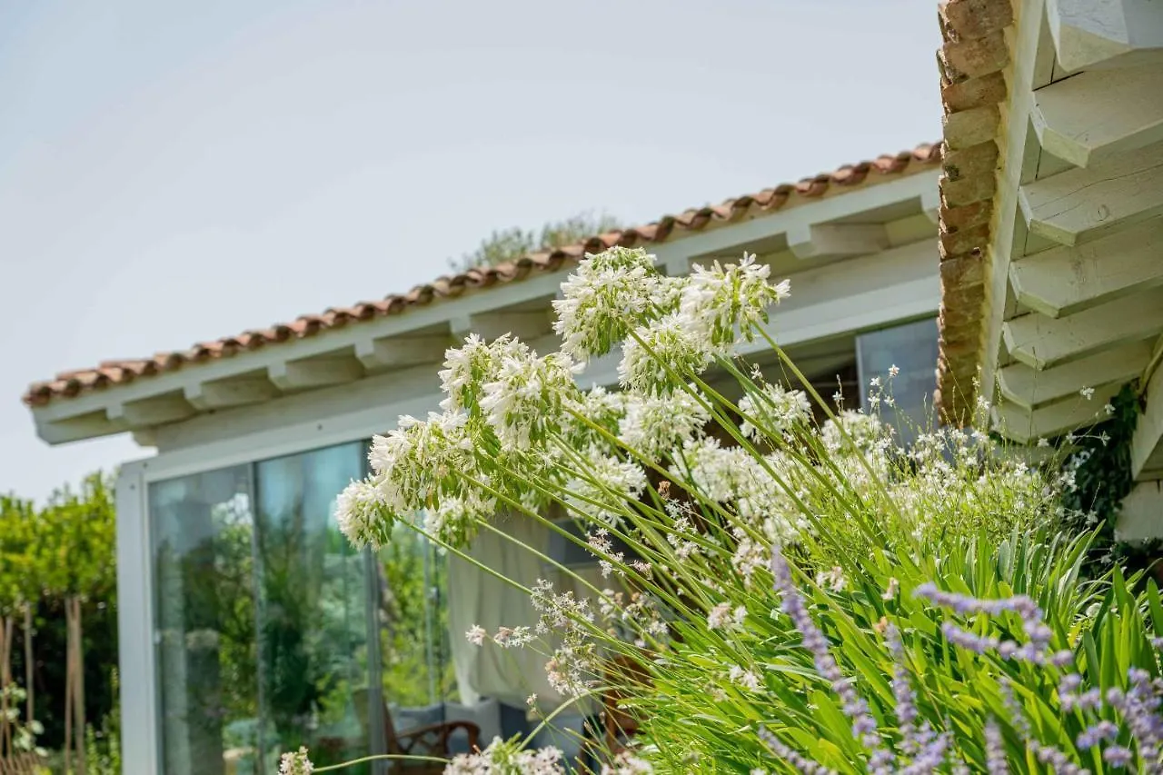 Villa بونتالديا
