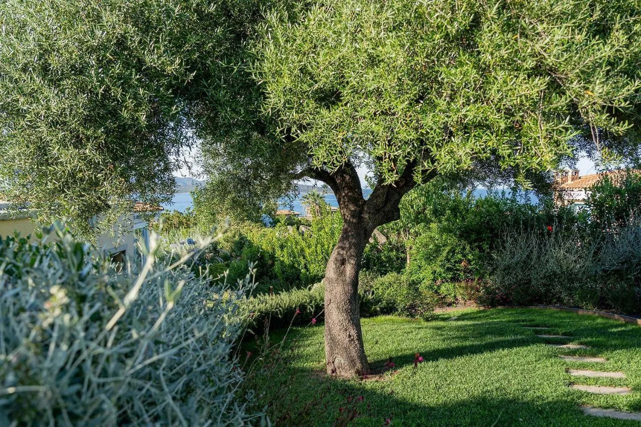 Villa Puntaldia Italy